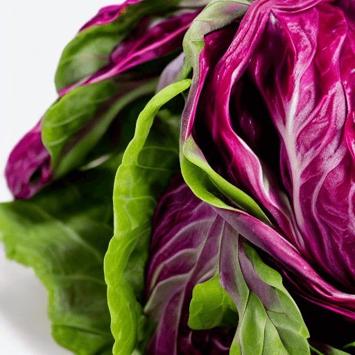 radicchio alla griglia food
